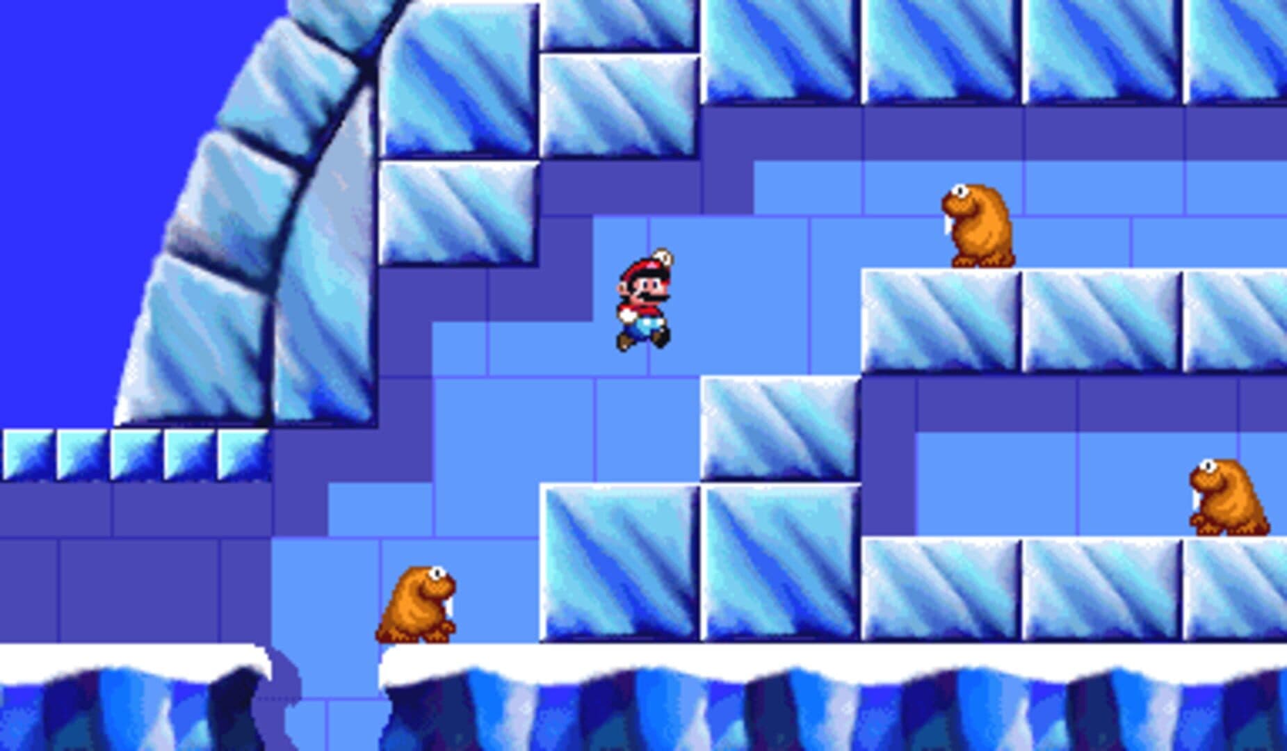 Super Mario's Wacky Worlds screenshot 1