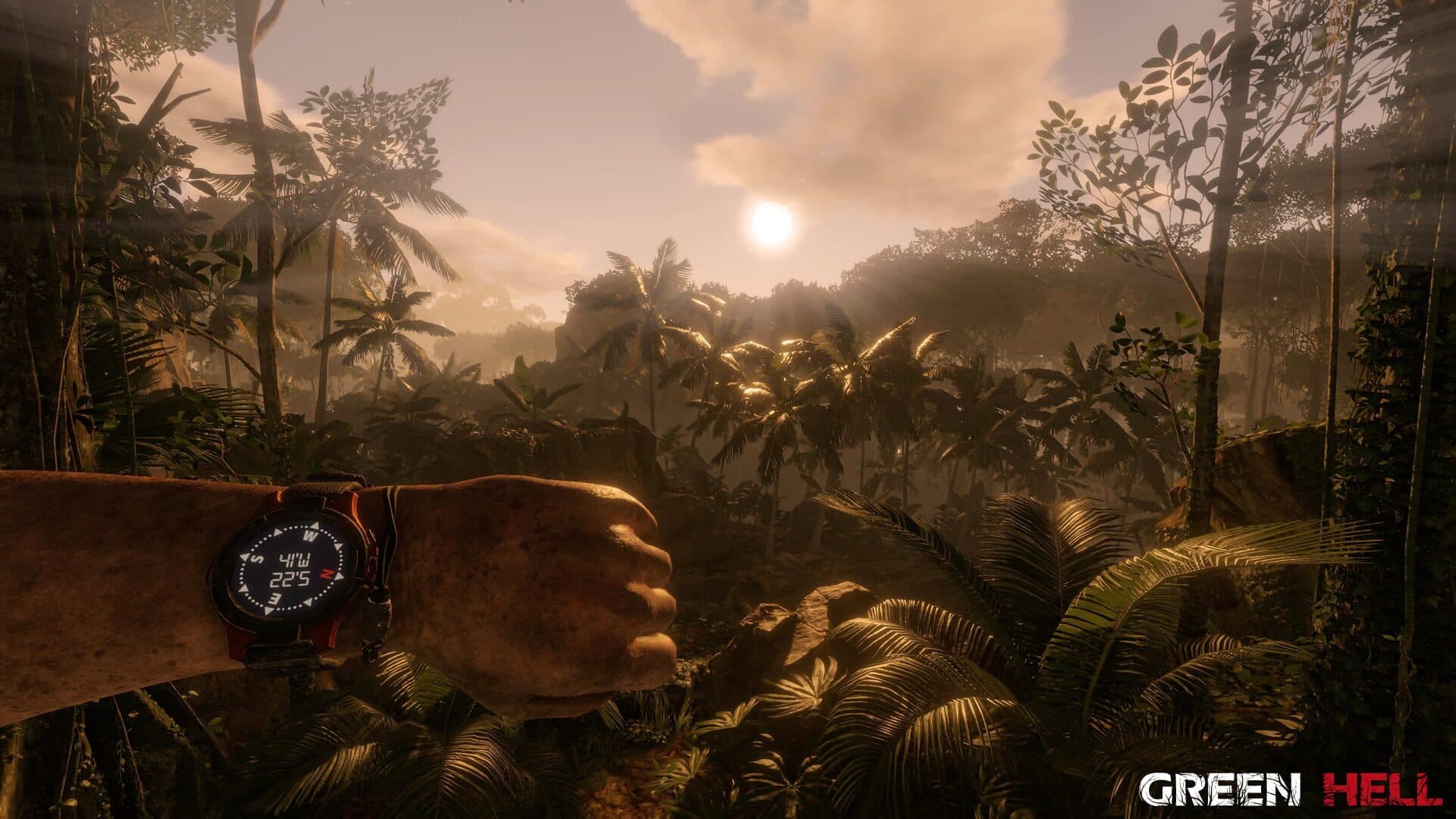 Green Hell screenshot 5