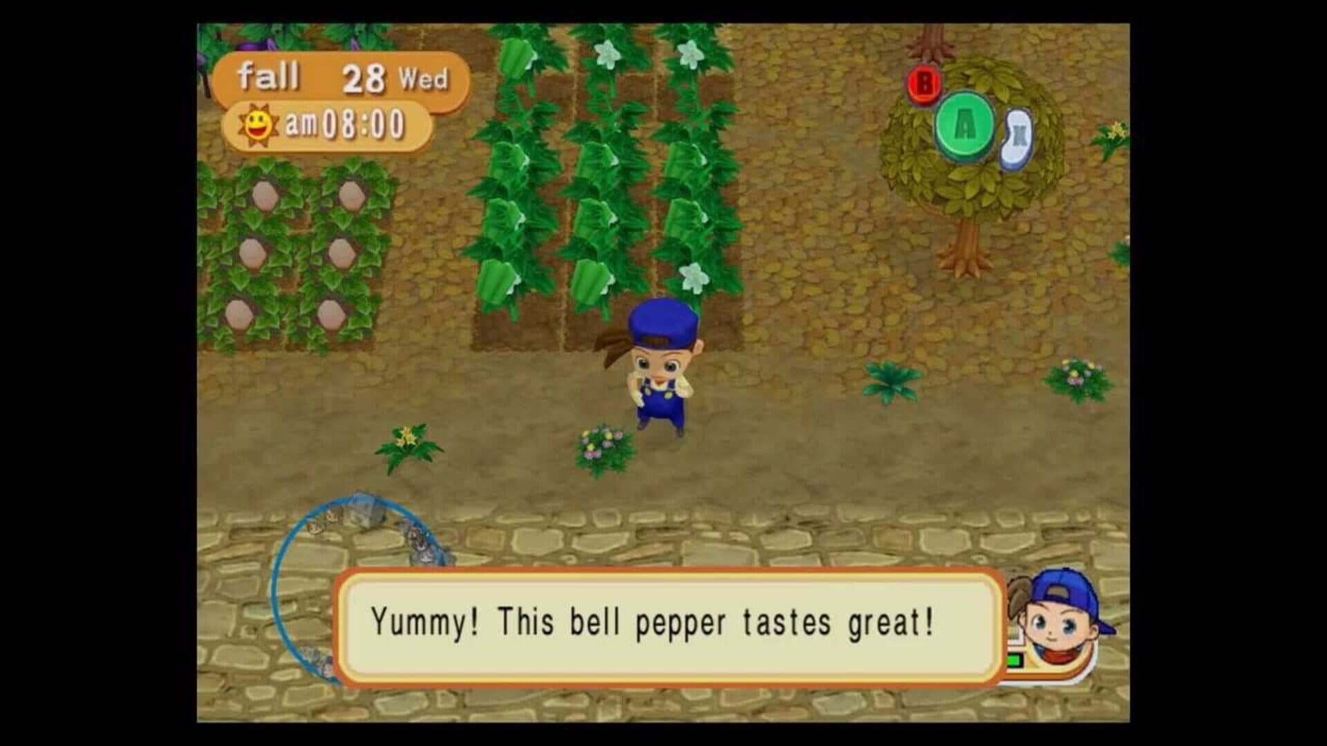 Harvest Moon: Magical Melody screenshot 2
