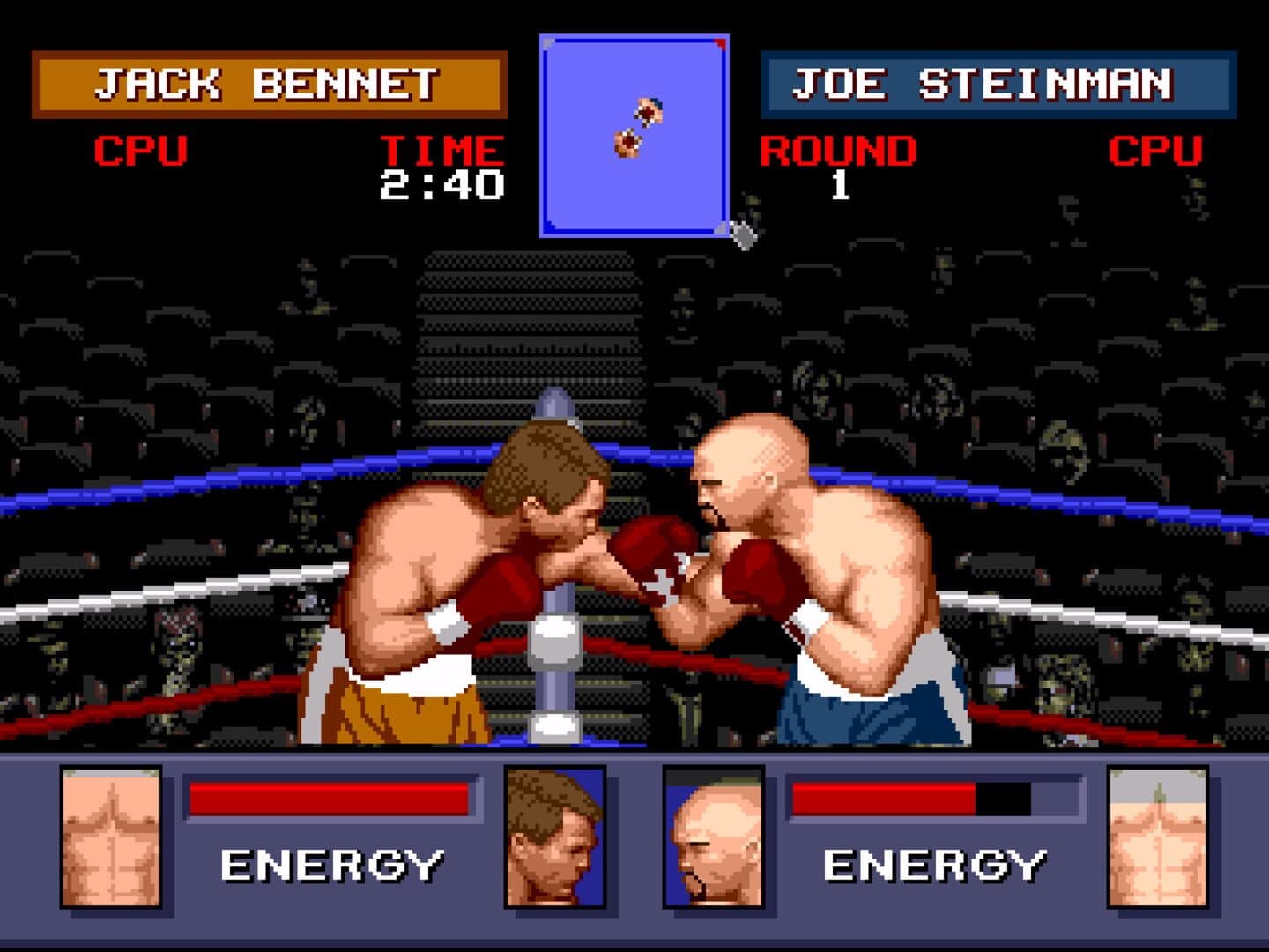 Evander Holyfield's Real Deal Boxing screenshot 1