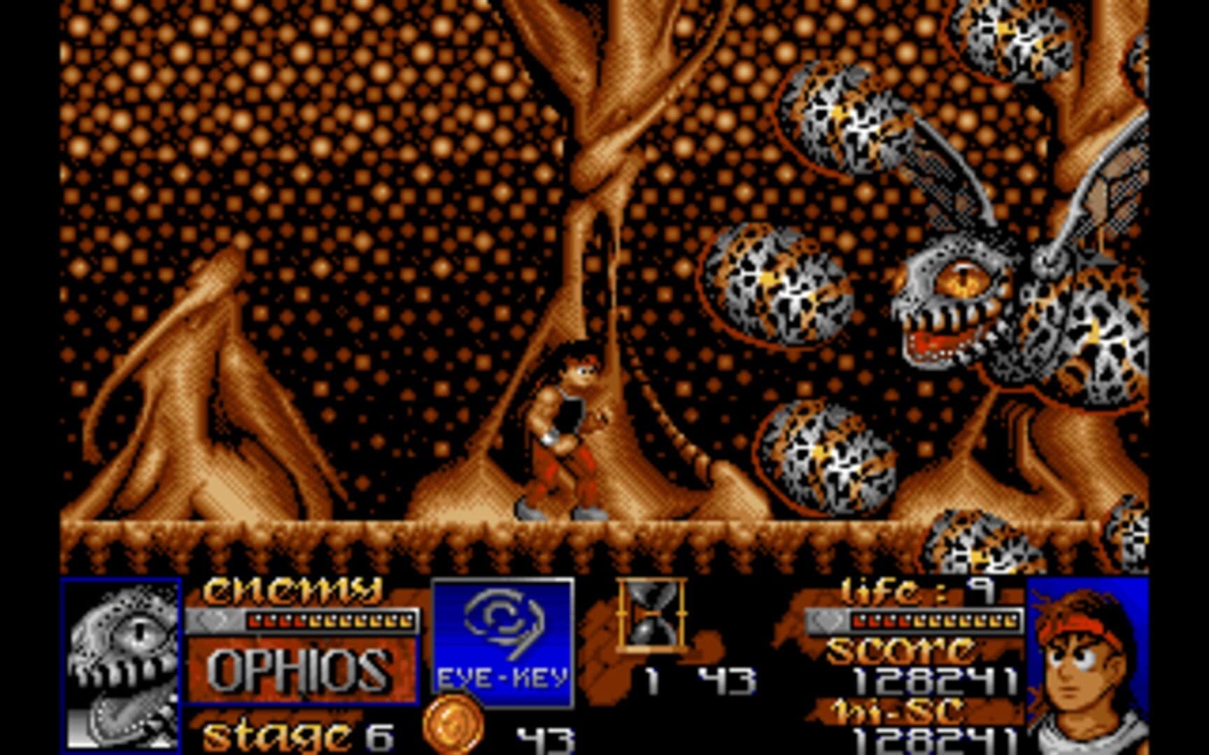 Risky Woods screenshot 2