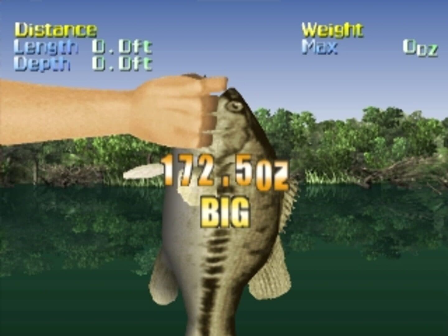 Action Bass screenshot 3