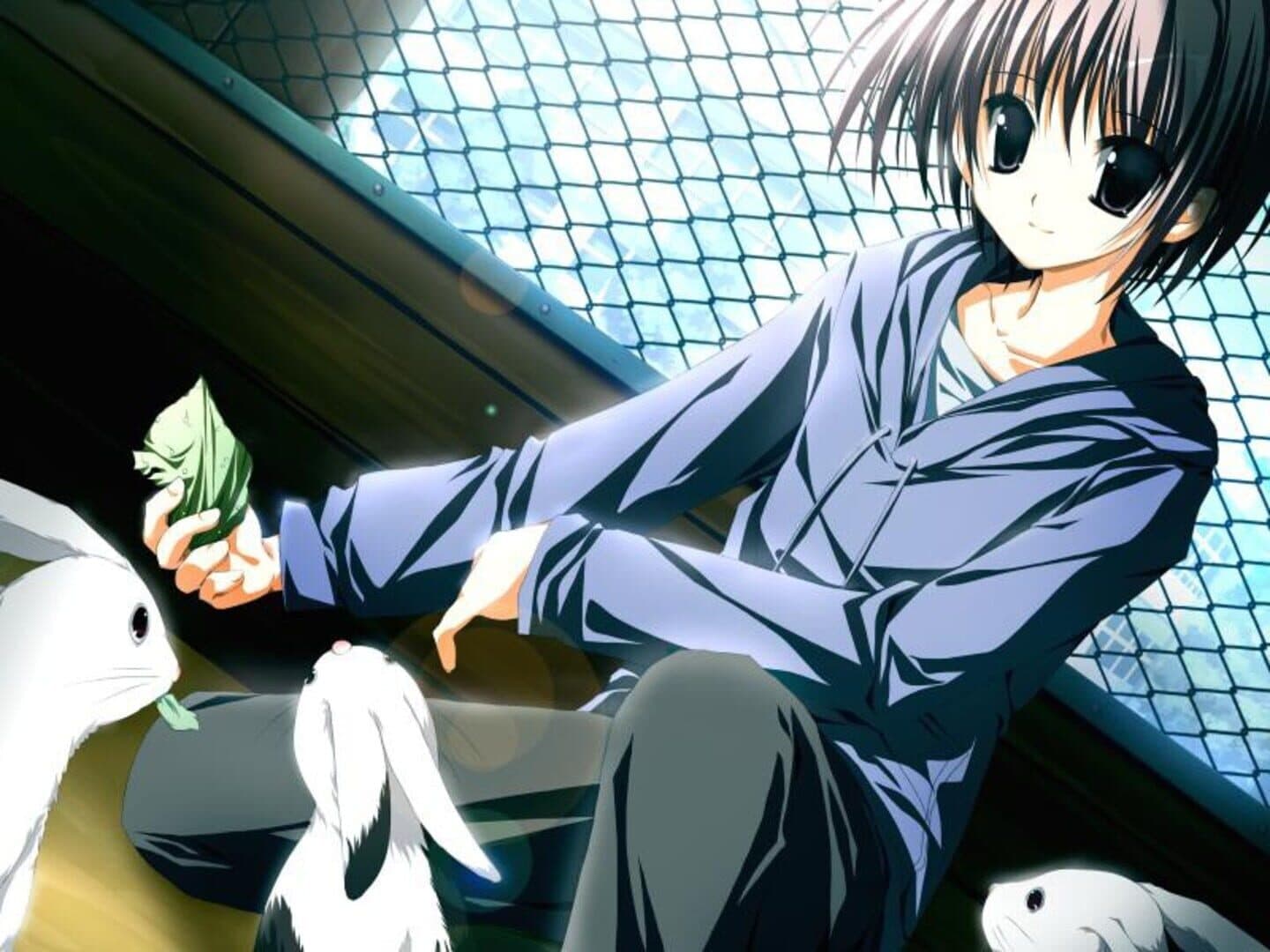 Supreme Candy: Oudou ni wa Oudoutaru Riyuu ga Arun Desu! screenshot 5