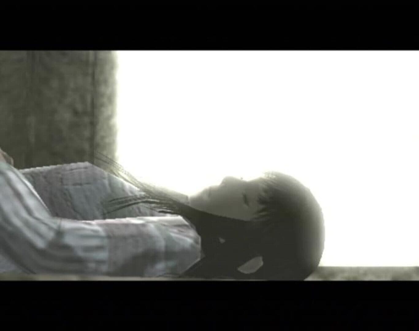 Shadow of the Colossus: Limited Edition screenshot 1
