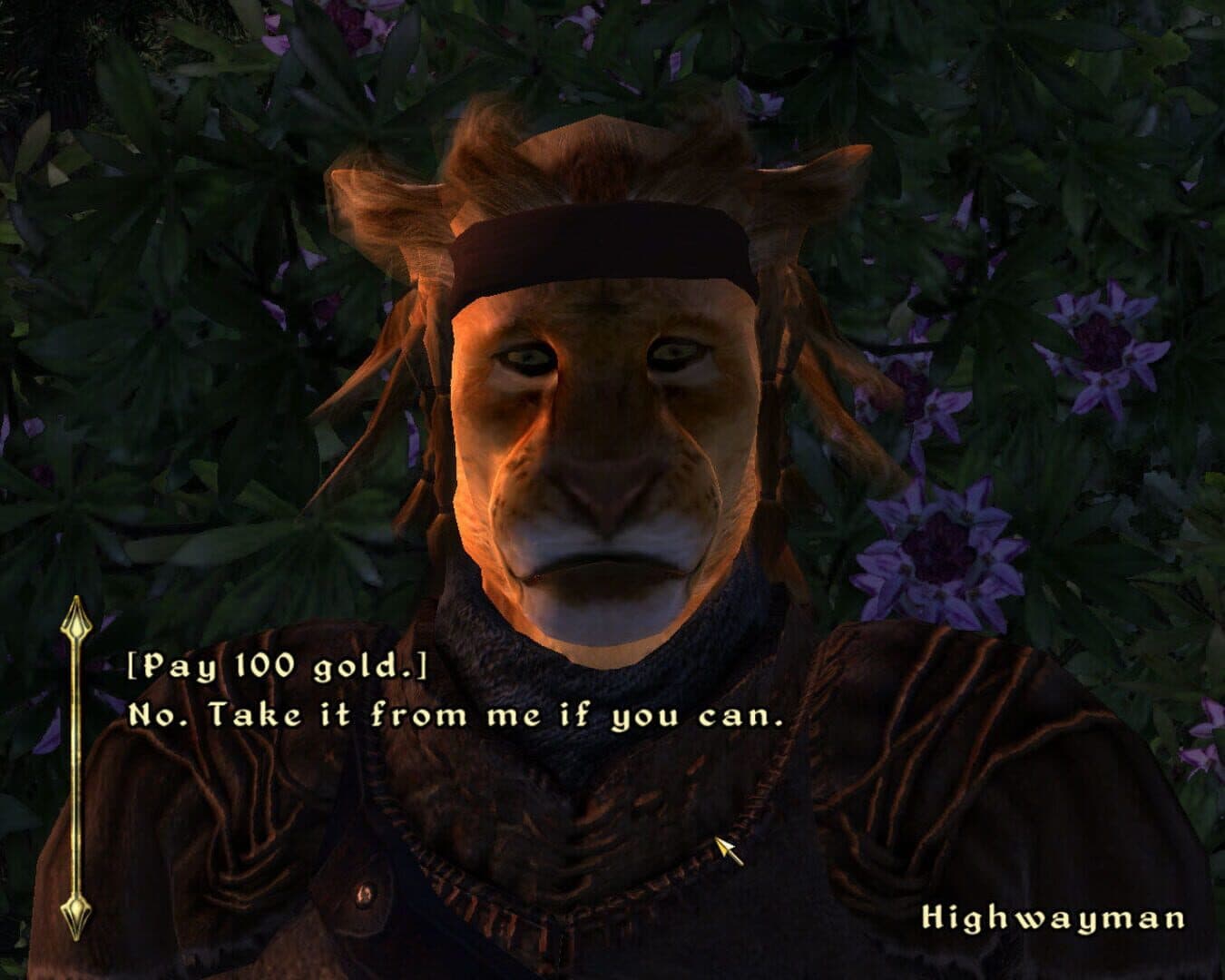 The Elder Scrolls IV: Oblivion - Spell Tomes screenshot 3