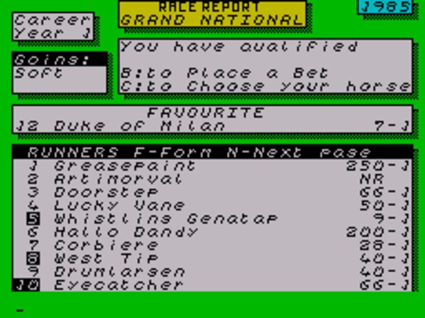 Grand National screenshot 3