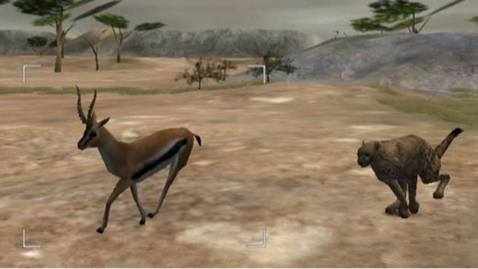 Wild Earth: African Safari screenshot 2