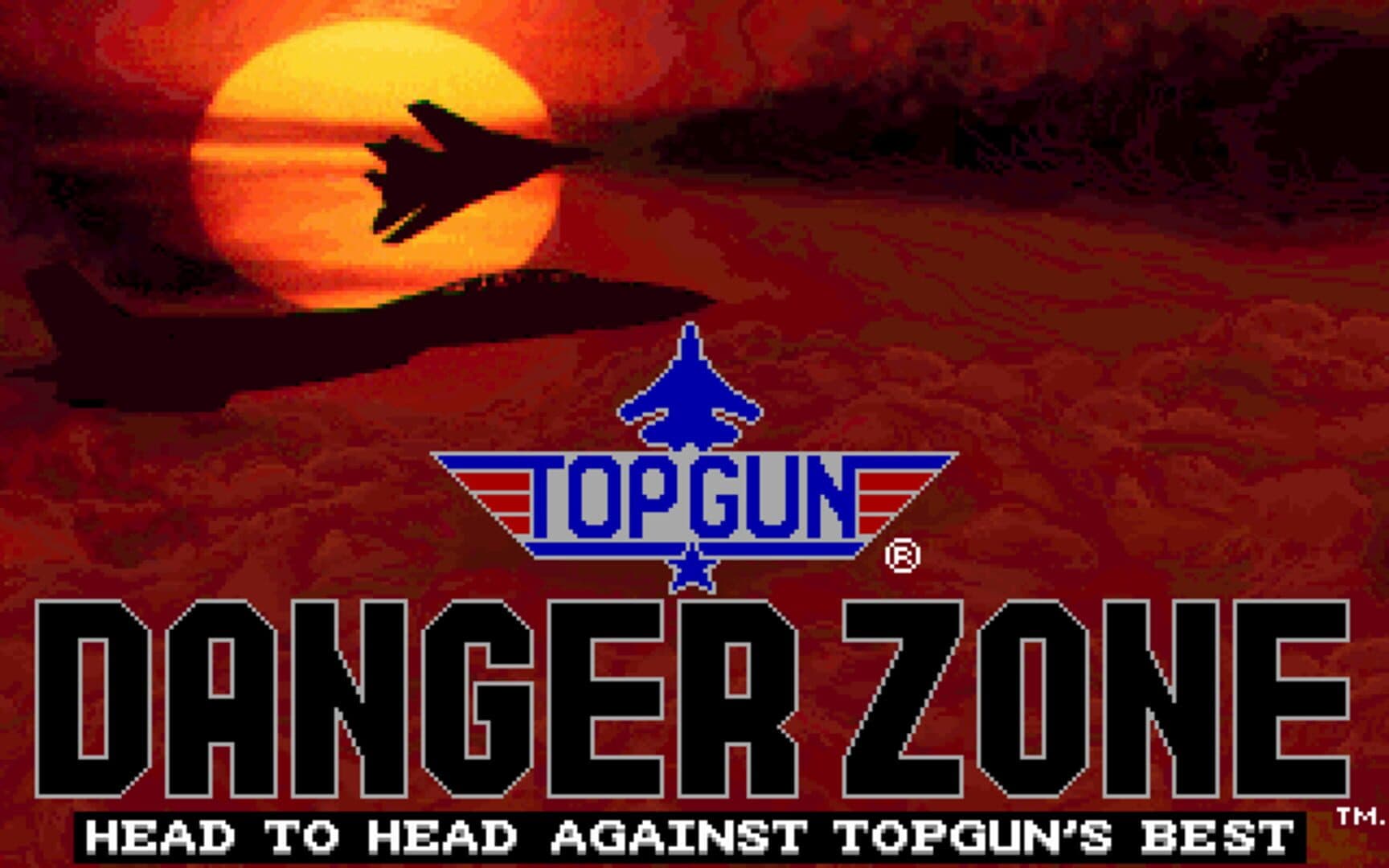Top Gun: Danger Zone screenshot 2