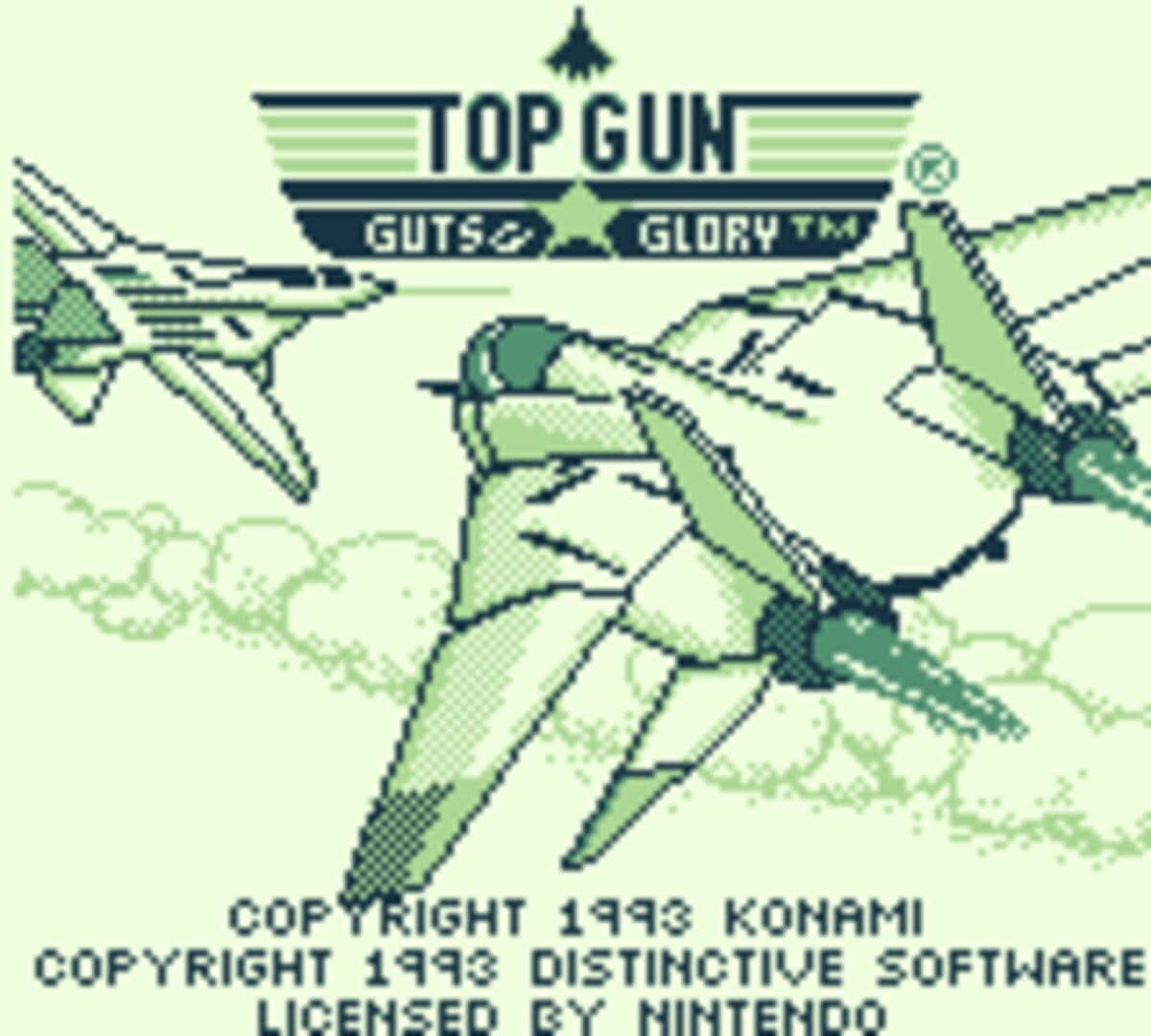 Top Gun: Guts and Glory screenshot 1