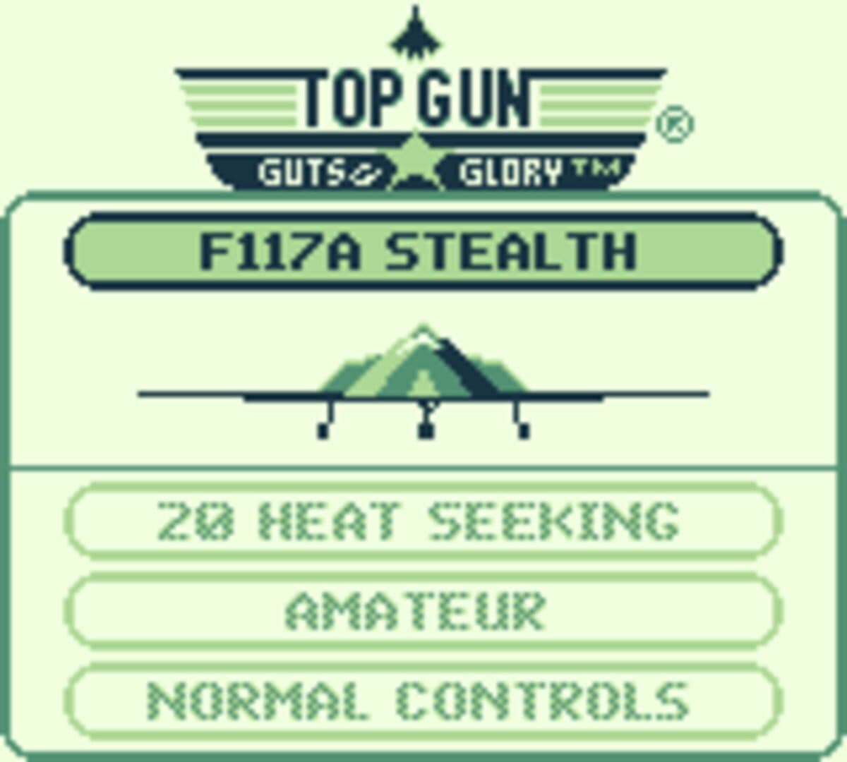 Top Gun: Guts and Glory screenshot 2