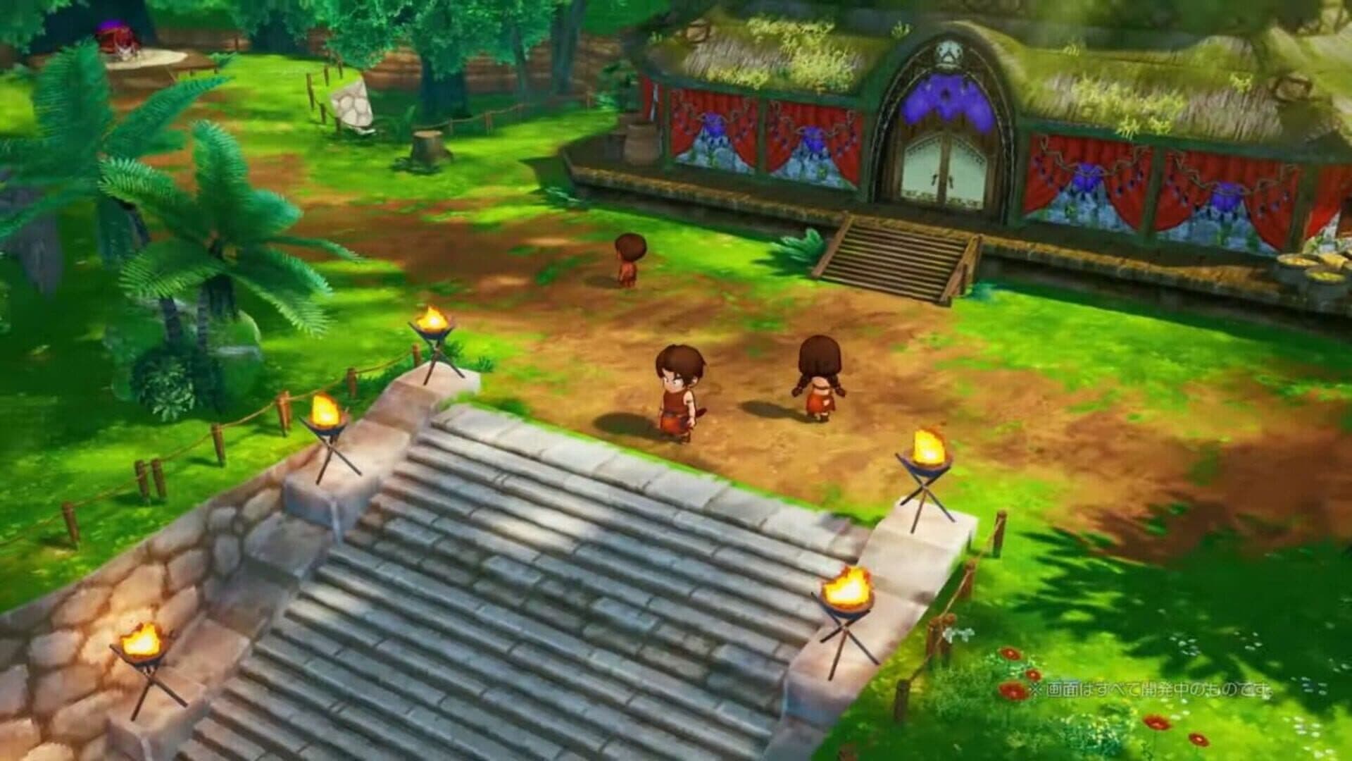 Dragon Quest X: Mezameshi Itsutsu no Shuzoku Offline screenshot 1