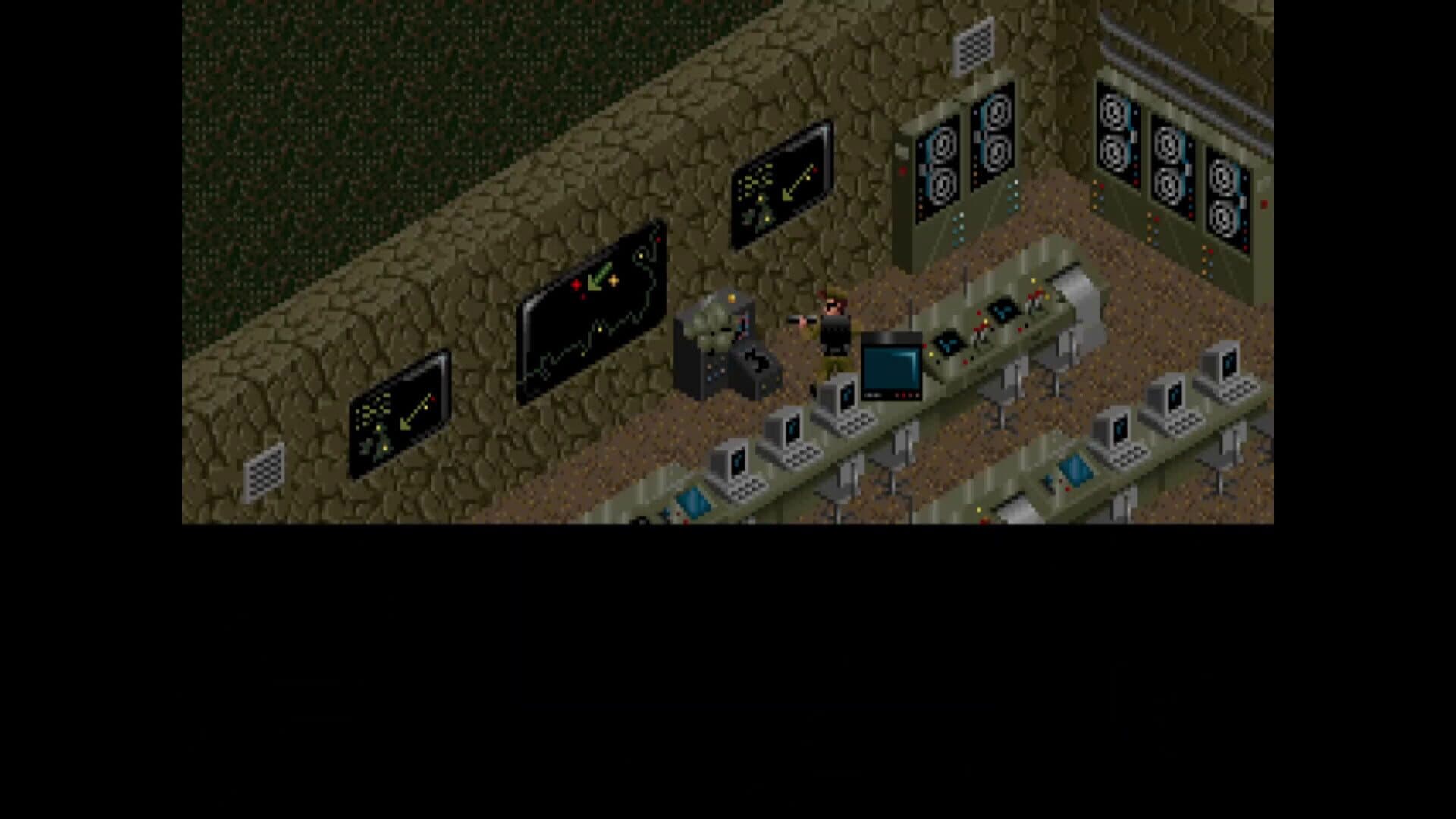 Sabre Team screenshot 8
