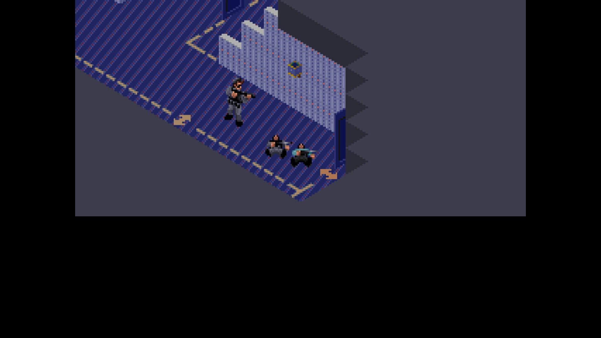Sabre Team screenshot 2