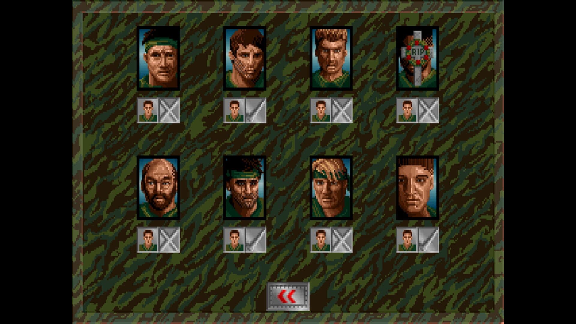 Sabre Team screenshot 3