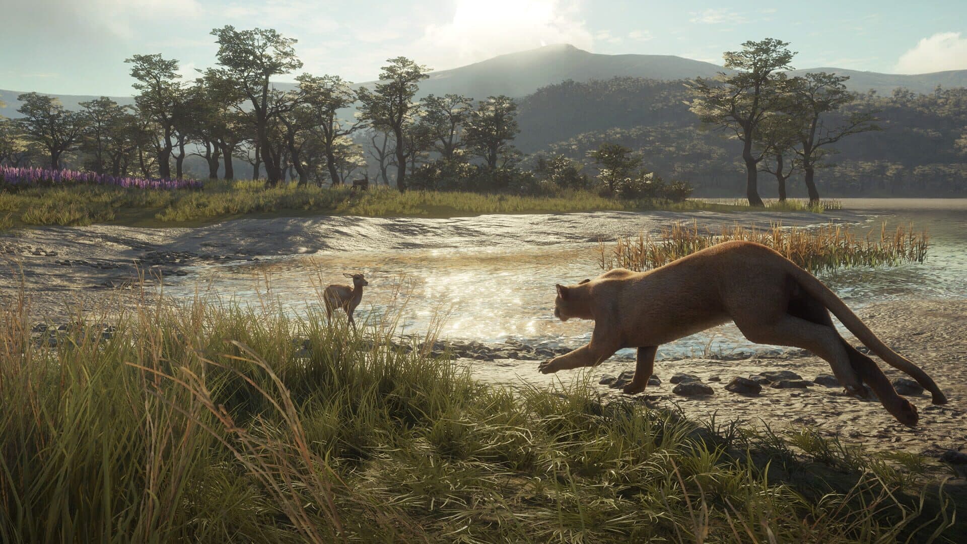 TheHunter: Call of the Wild - Parque Fernando screenshot 1