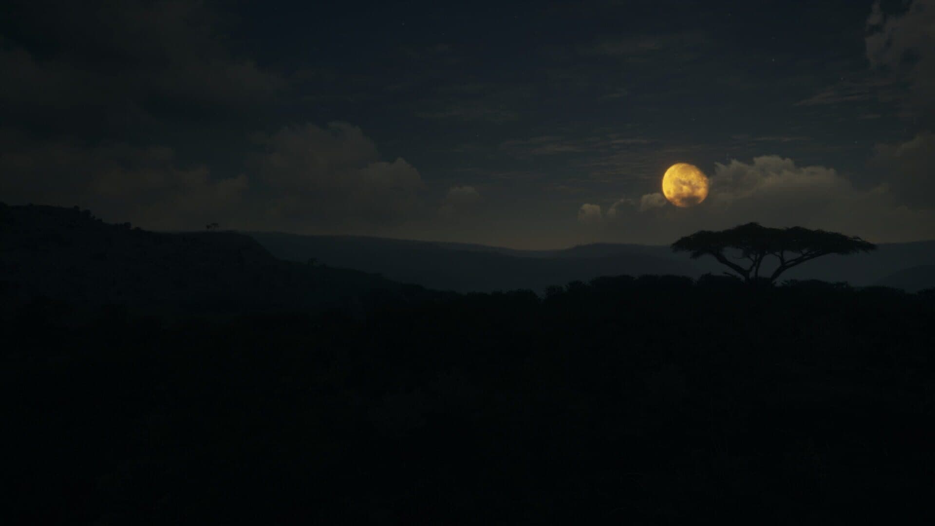 TheHunter: Call of the Wild - Vurhonga Savanna screenshot 4