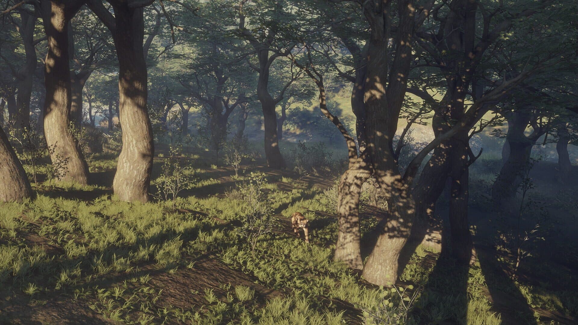 TheHunter: Call of the Wild - Parque Fernando screenshot 6