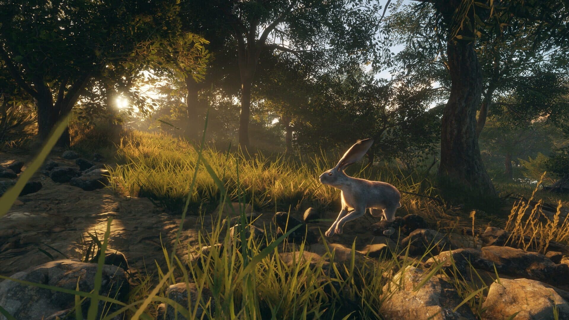TheHunter: Call of the Wild - Rancho del Arroyo screenshot 7