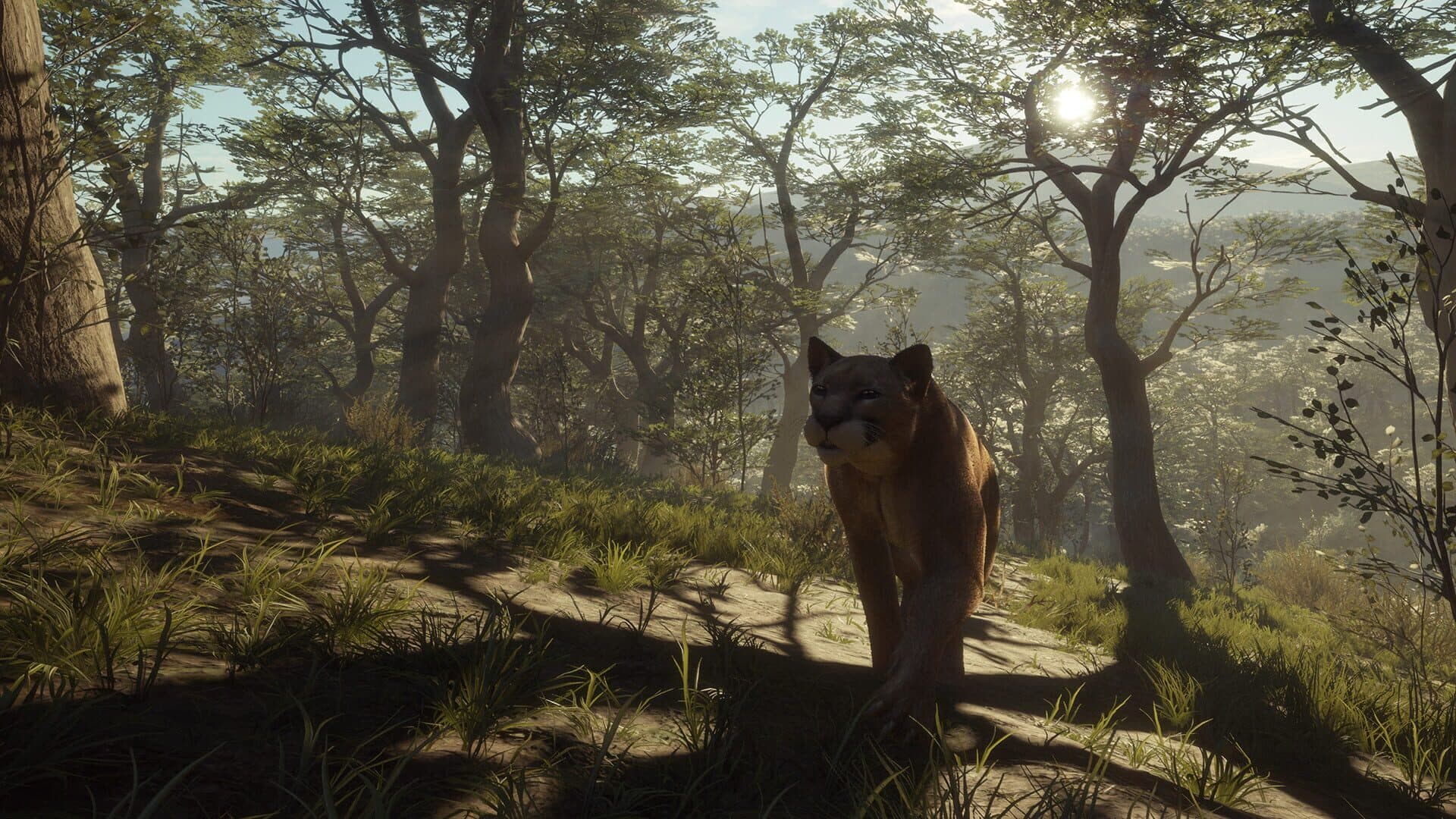 TheHunter: Call of the Wild - Parque Fernando screenshot 7