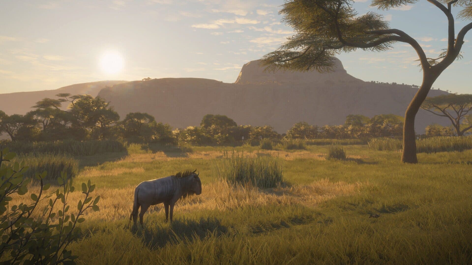 TheHunter: Call of the Wild - Vurhonga Savanna screenshot 8