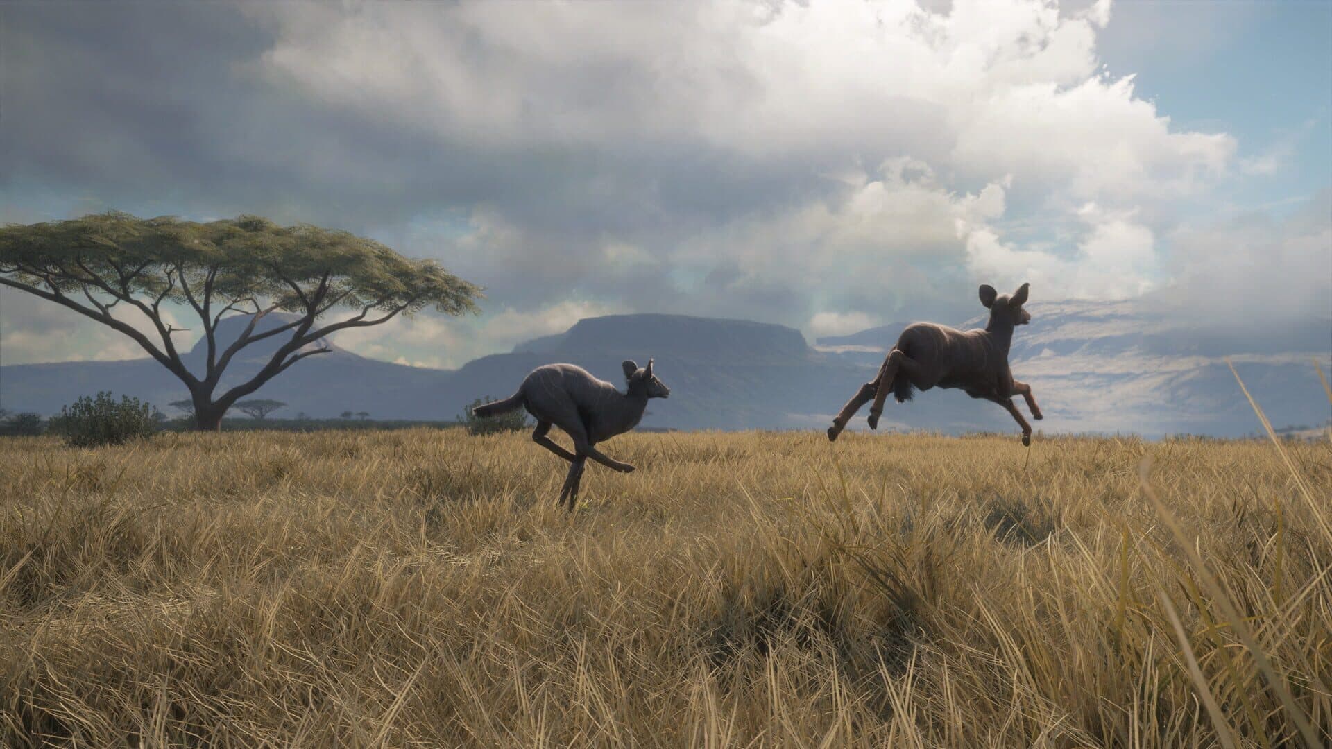 TheHunter: Call of the Wild - Vurhonga Savanna screenshot 9