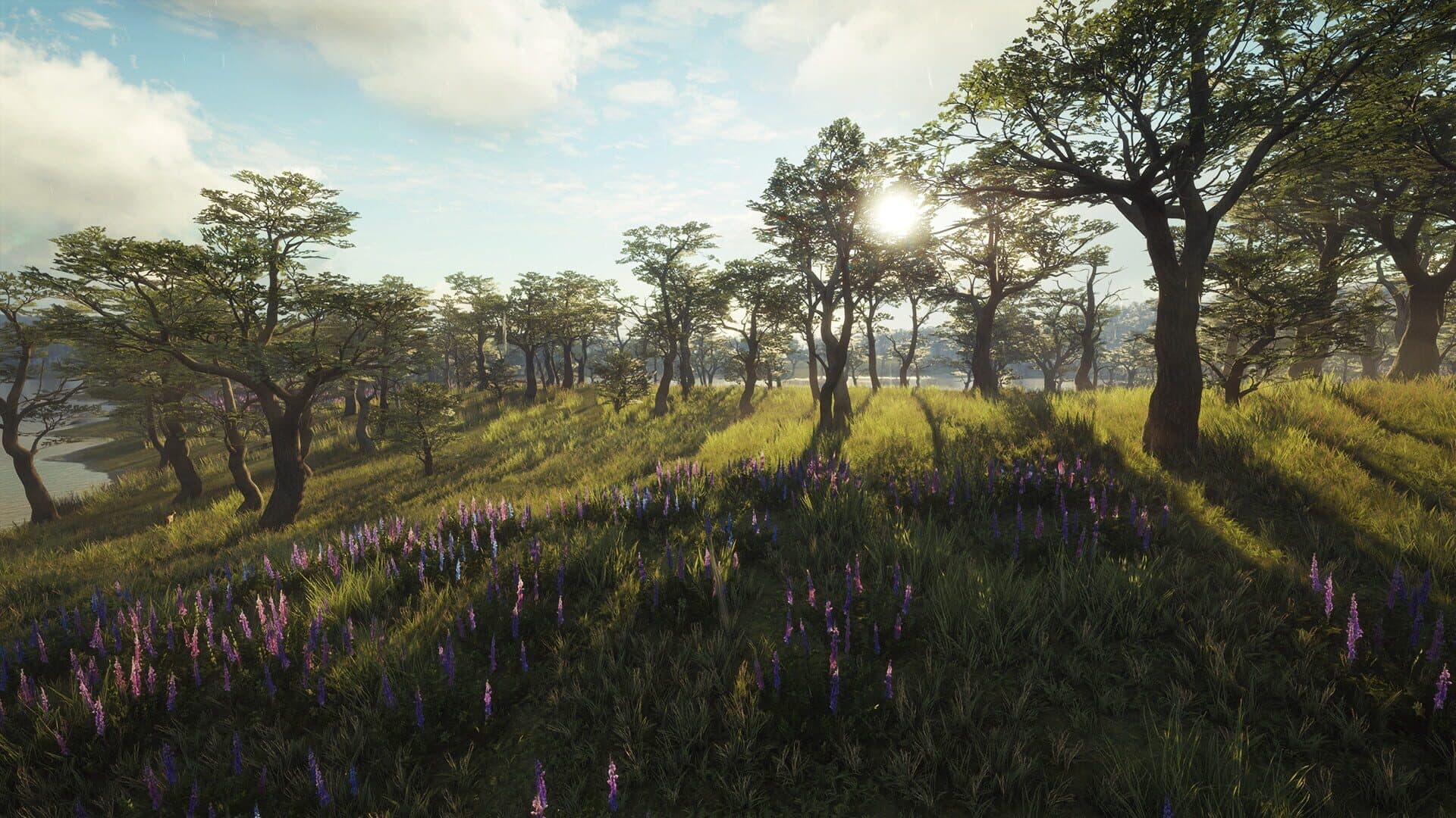 TheHunter: Call of the Wild - Parque Fernando screenshot 8