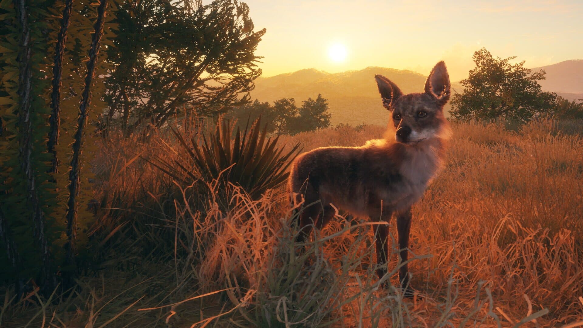 TheHunter: Call of the Wild - Rancho del Arroyo screenshot 9