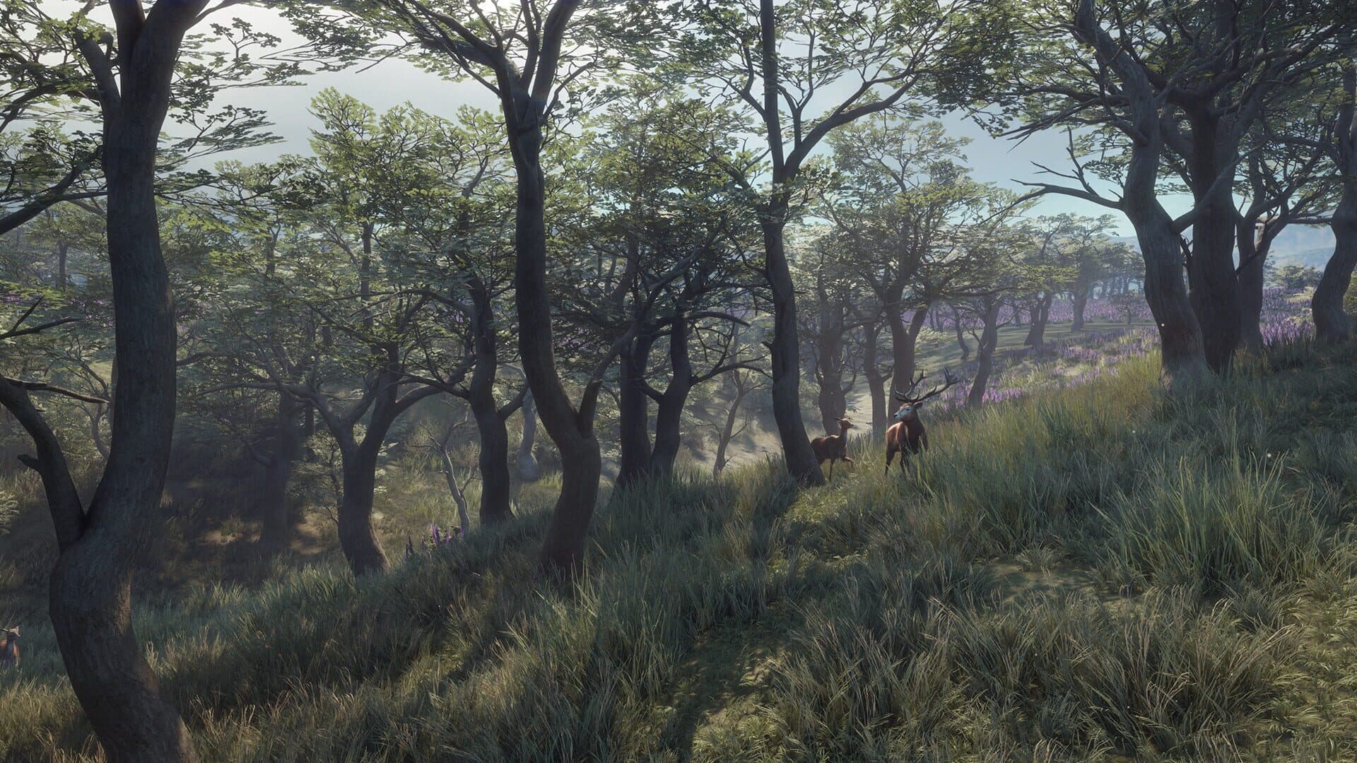 TheHunter: Call of the Wild - Parque Fernando screenshot 9