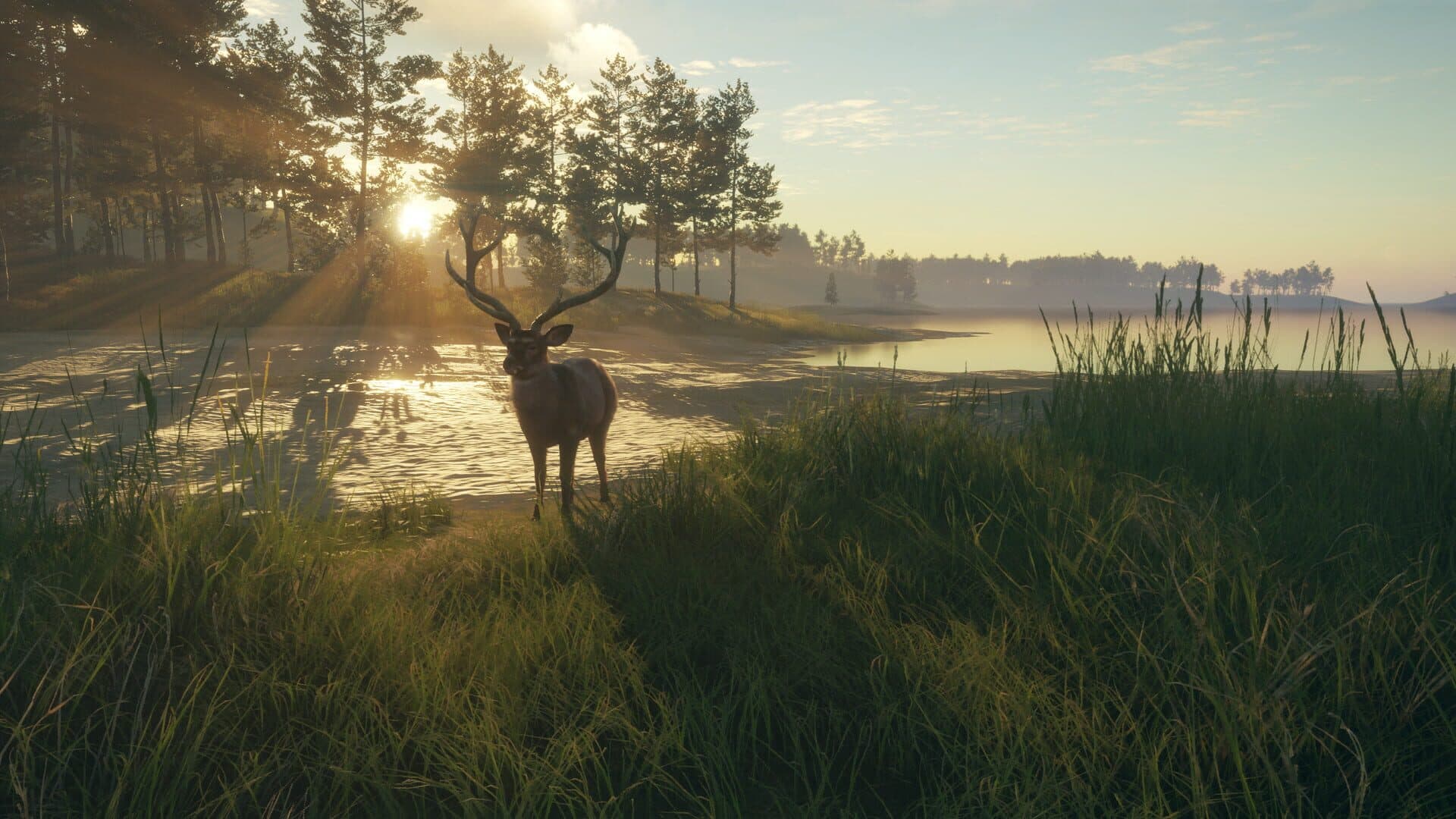 TheHunter: Call of the Wild - Te Awaroa National Park screenshot 12