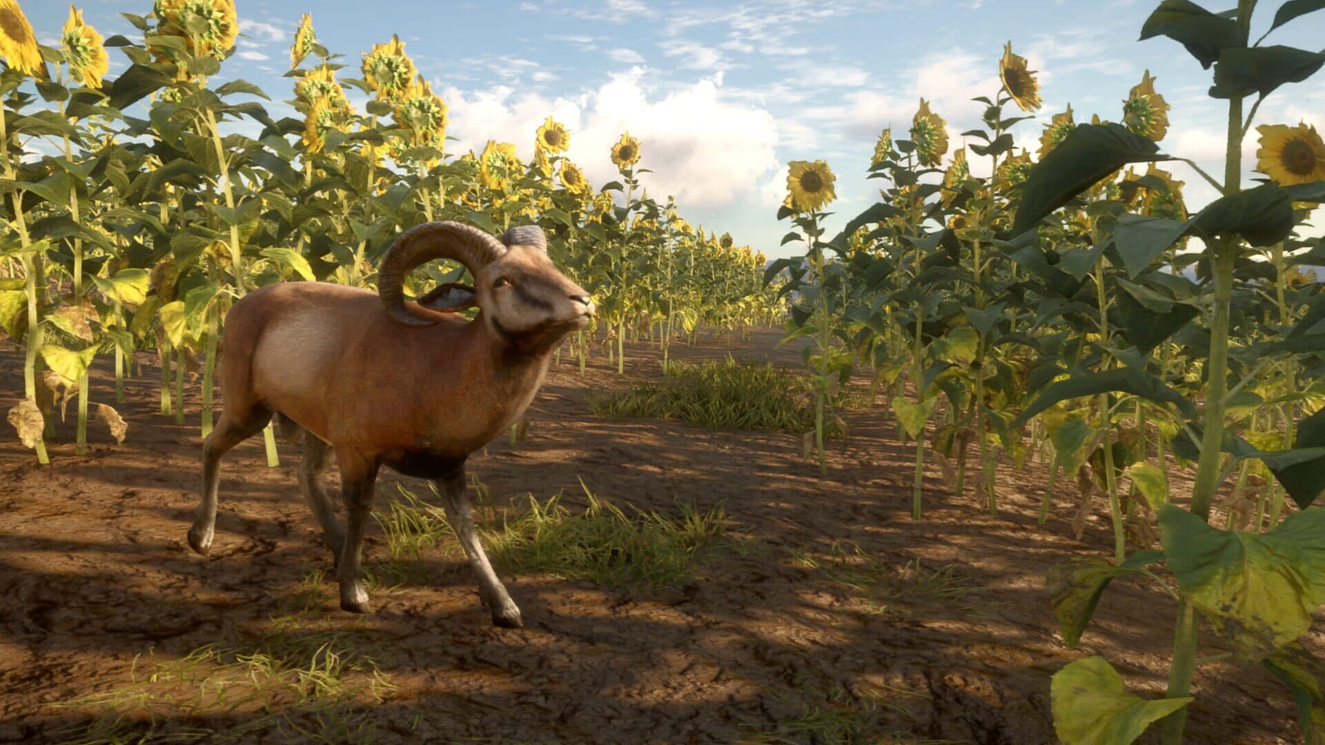 TheHunter: Call of the Wild - Cuatro Colinas Game Reserve screenshot 4