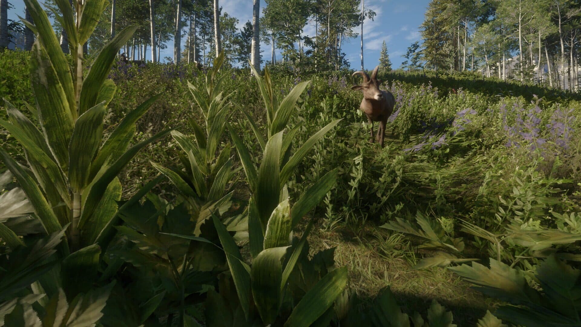 TheHunter: Call of the Wild - Silver Ridge Peaks screenshot 8