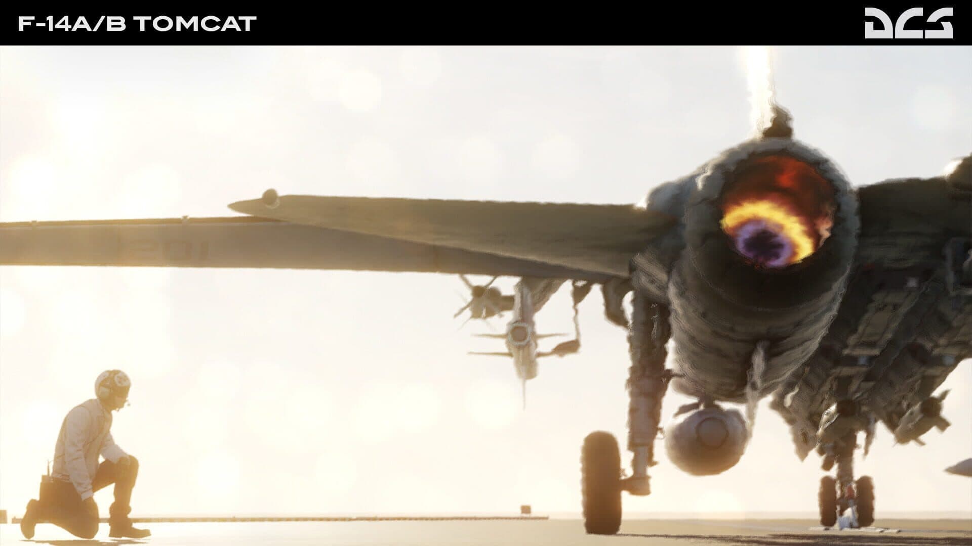 DCS World: F-14A/B Tomcat screenshot 9