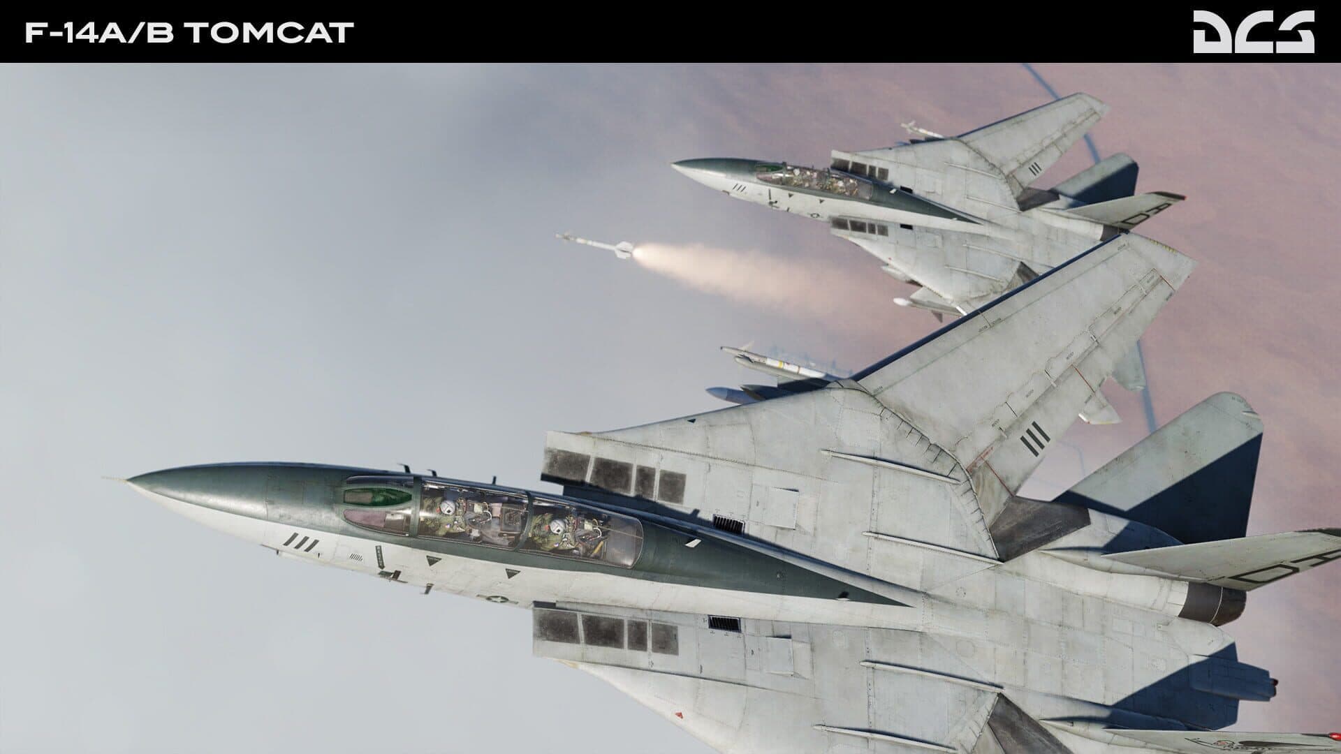 DCS World: F-14A/B Tomcat screenshot 7