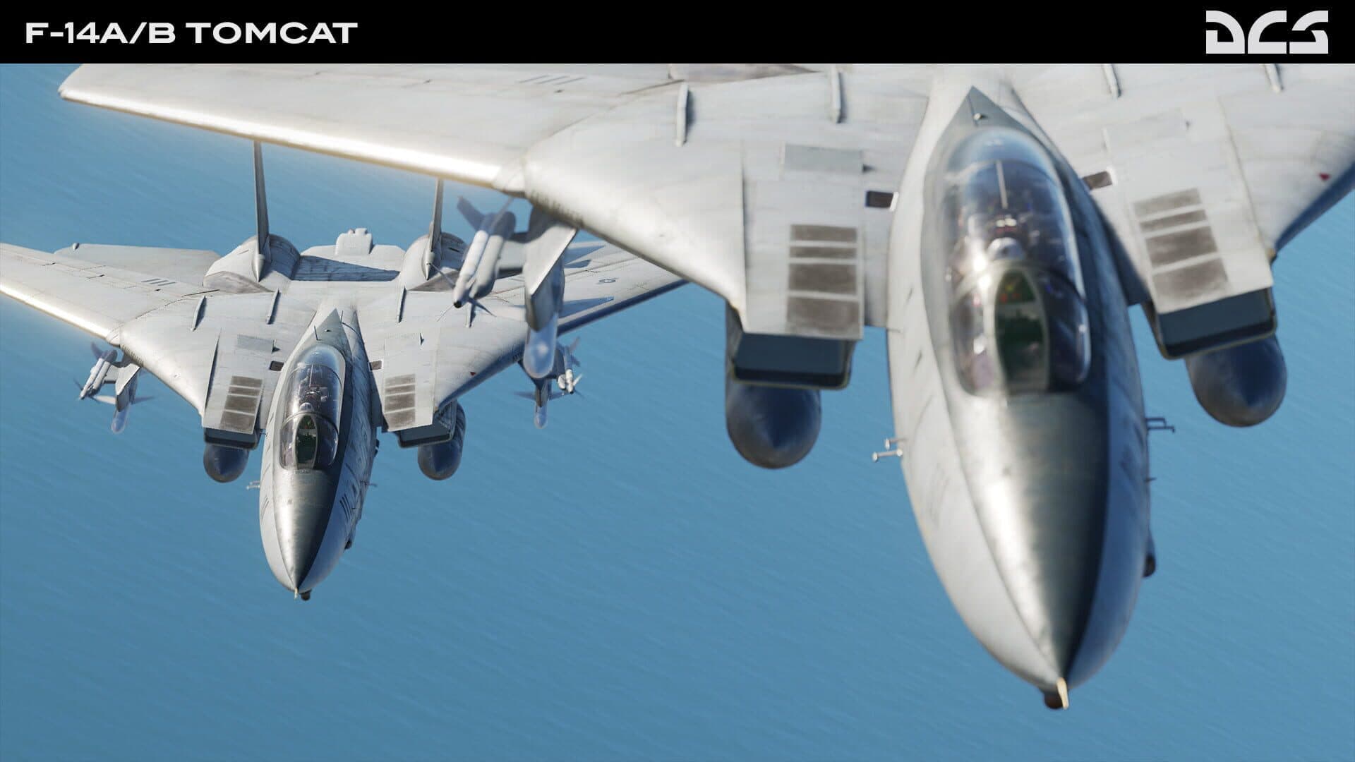 DCS World: F-14A/B Tomcat screenshot 6
