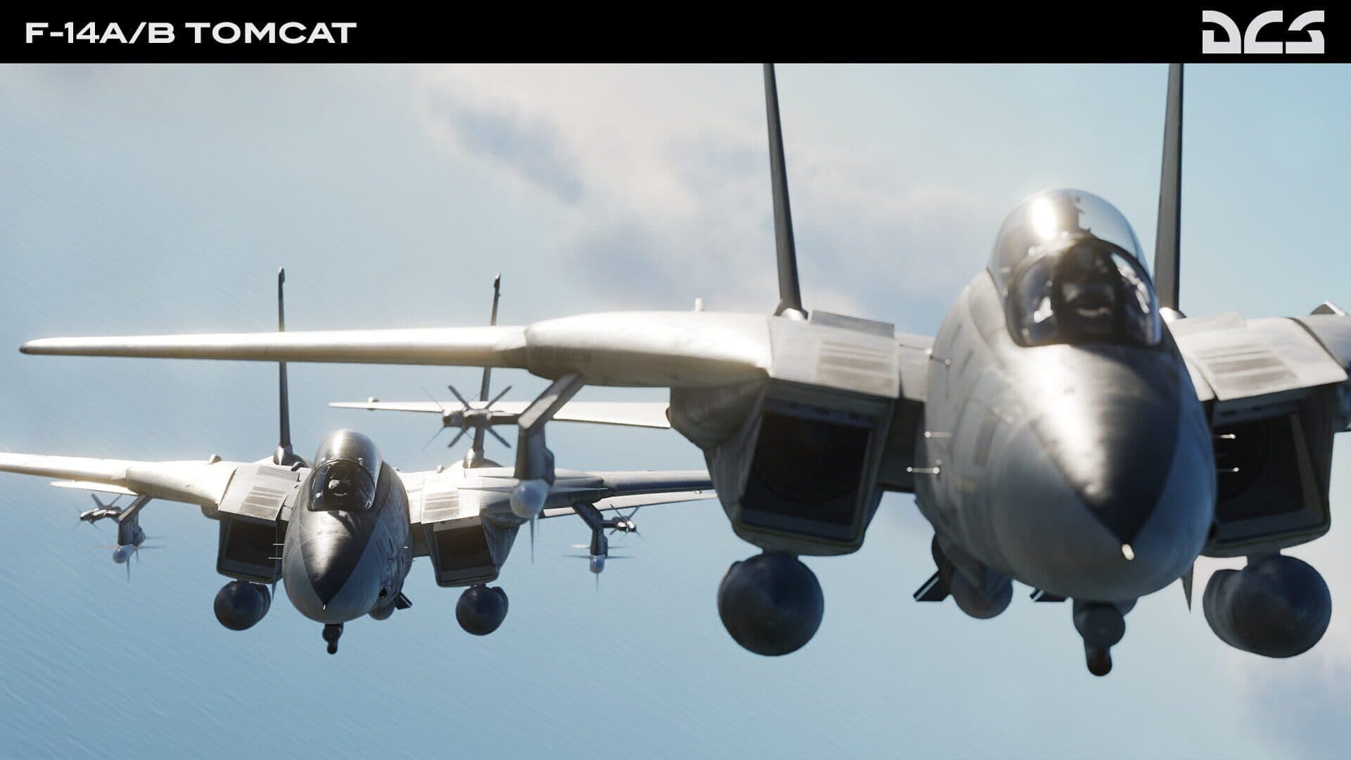 DCS World: F-14A/B Tomcat screenshot 1
