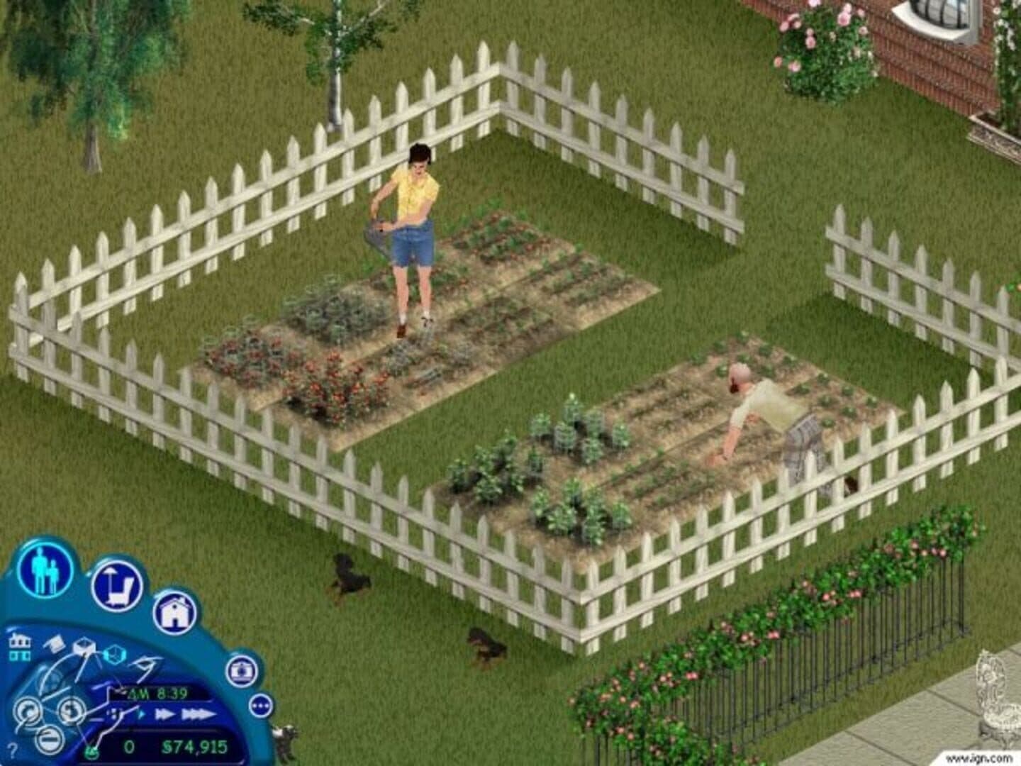 The Sims: Unleashed screenshot 5