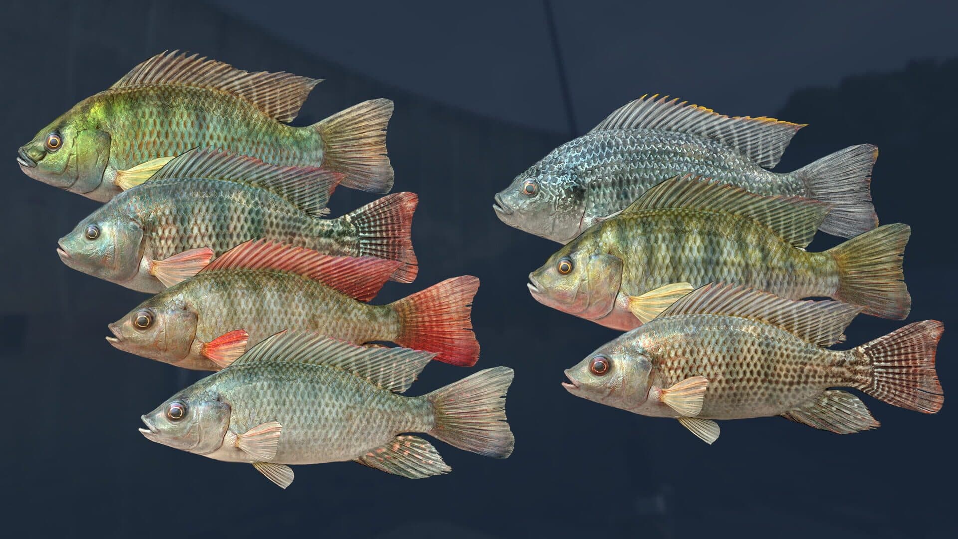 Ultimate Fishing Simulator VR: Kariba Dam screenshot 1