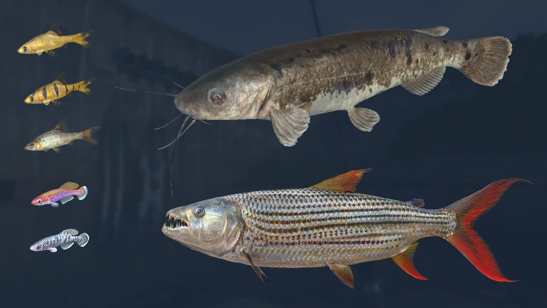 Ultimate Fishing Simulator VR: Kariba Dam screenshot 7