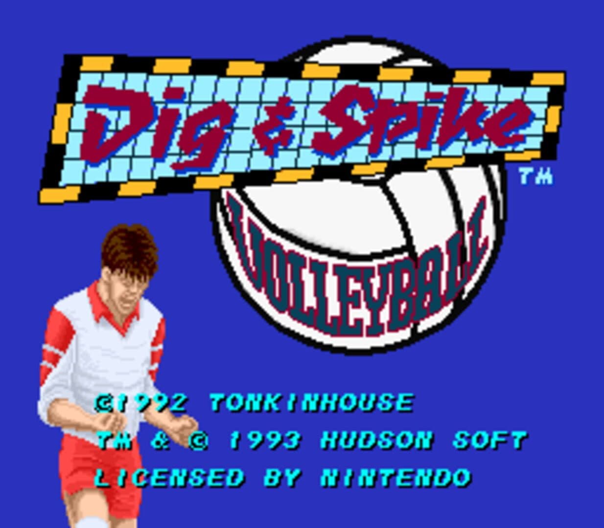 Dig & Spike Volleyball screenshot 1