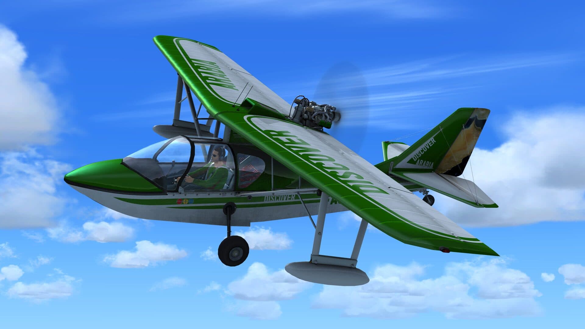 Microsoft Flight Simulator X: Steam Edition - Discover Arabia screenshot 2
