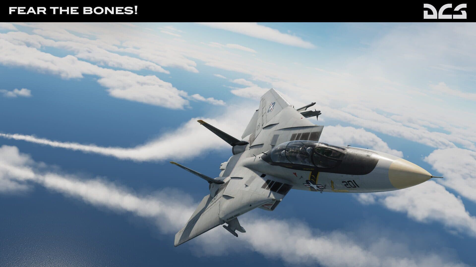DCS World: F-14A Fear the Bones Campaign screenshot 4
