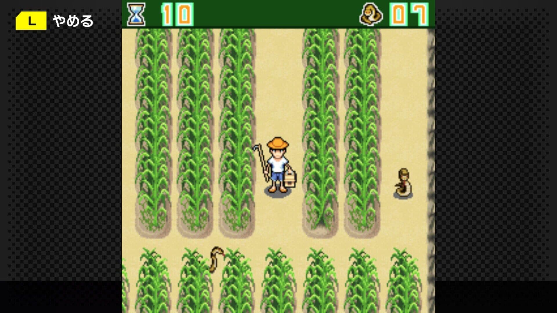 G-Mode Archives 15: Chura-jima Kurashi screenshot 5