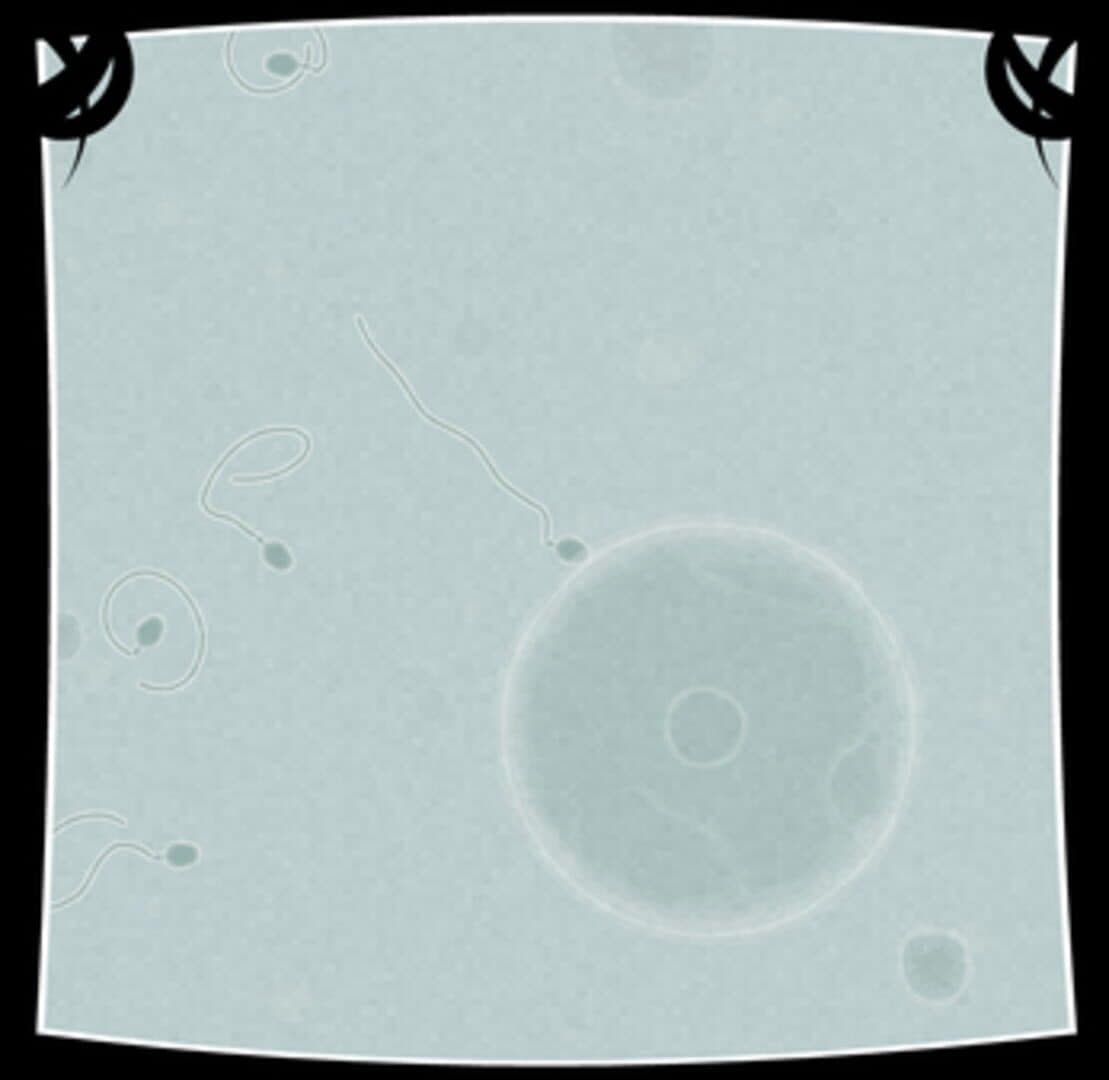 Coil screenshot 4
