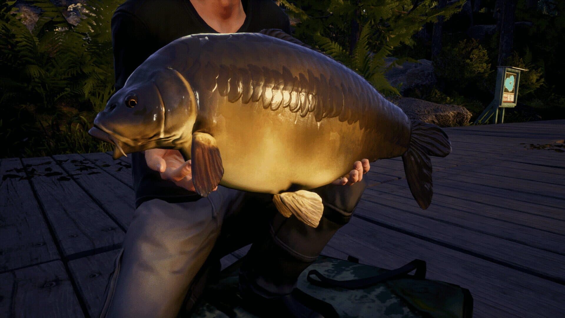 Euro Fishing: Waldsee screenshot 2