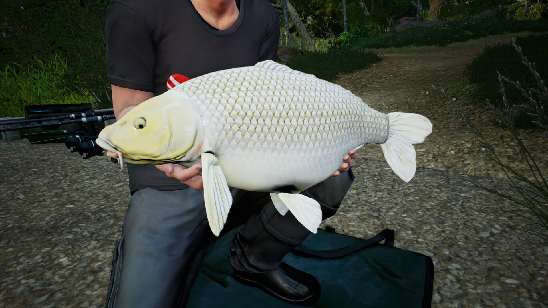 Euro Fishing: Hunters Lake screenshot 5