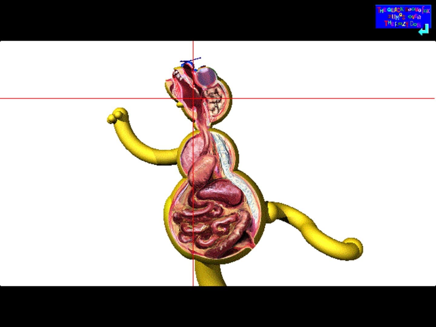 Roly-Polys no Nanakorobi Yaoki screenshot 4