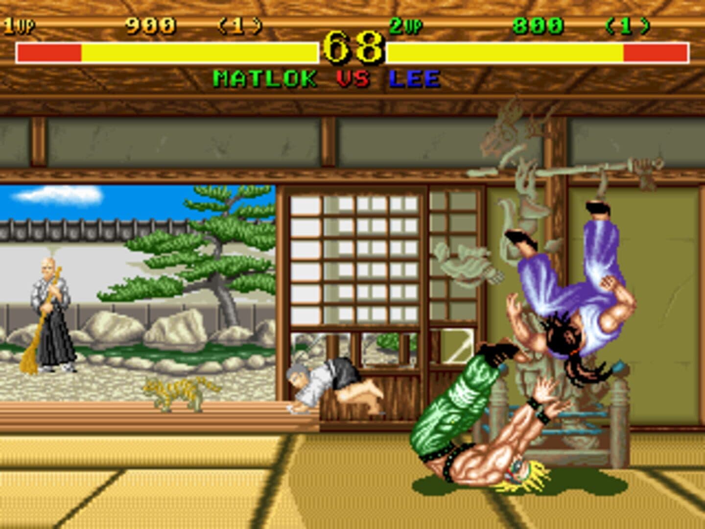 Fighter's History screenshot 7