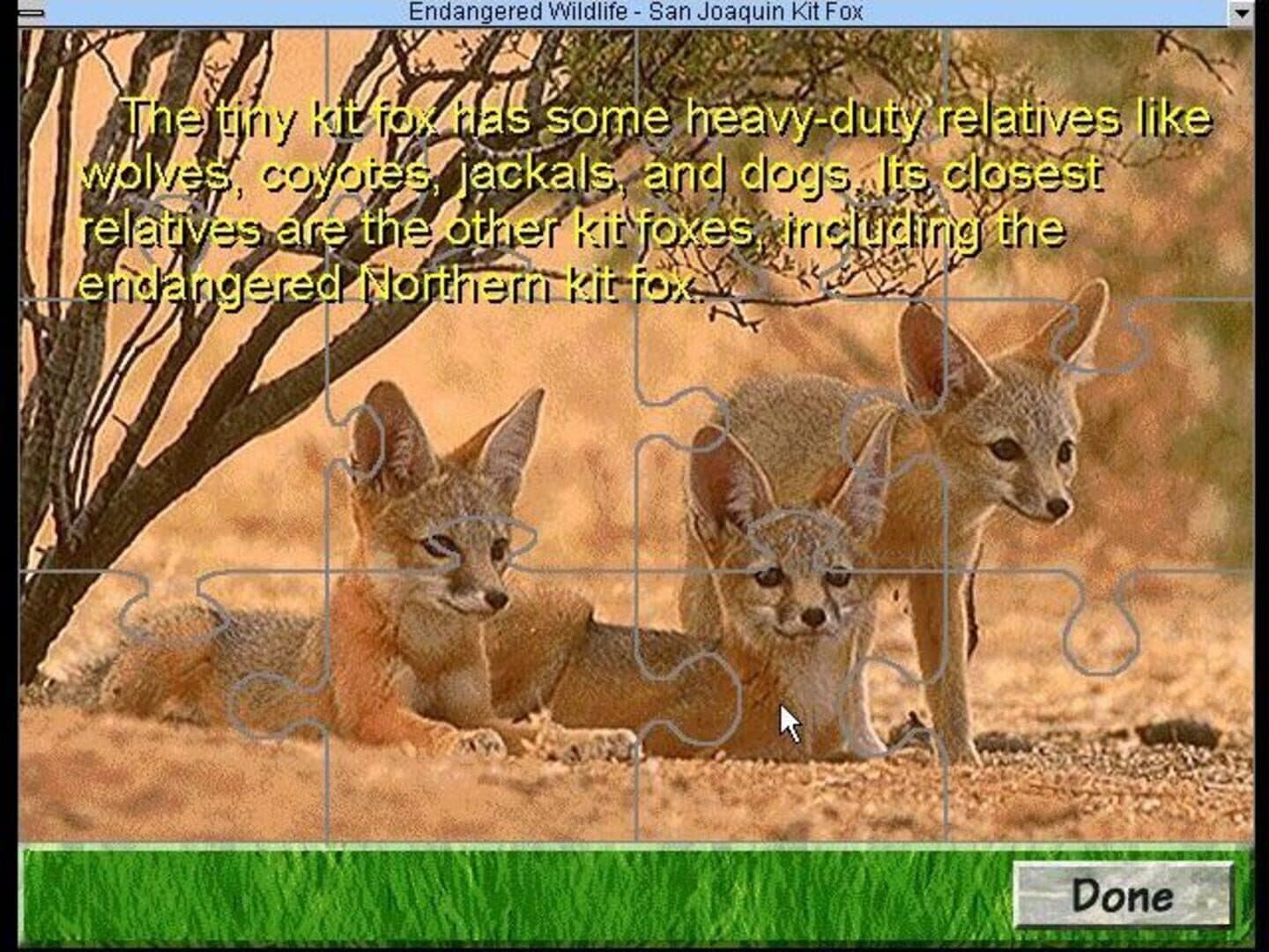 David Bellamy's Endangered Wildlife screenshot 1