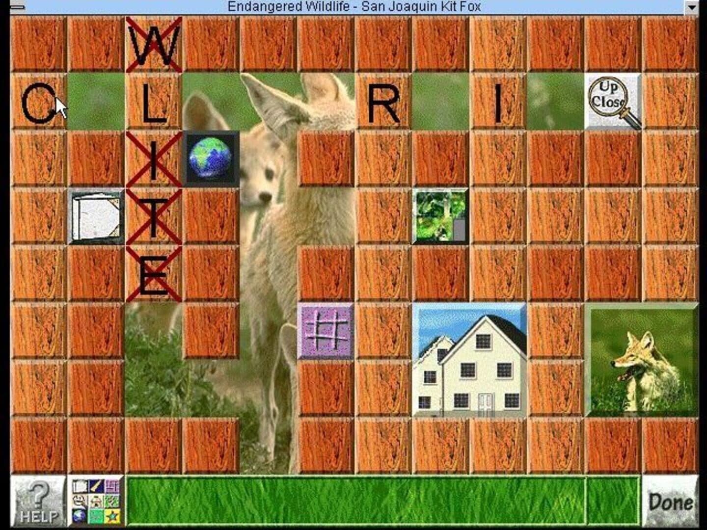 David Bellamy's Endangered Wildlife screenshot 2