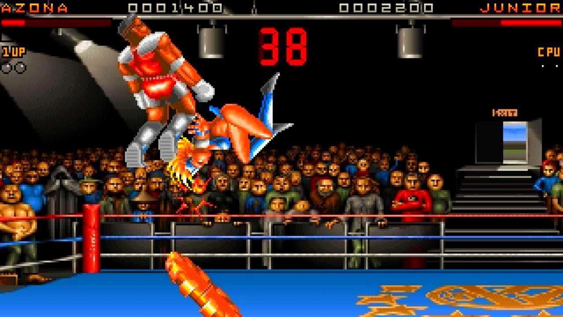 Ultimate Body Blows screenshot 3